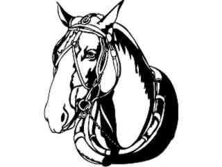  Horse Head 3 Decal Proportional