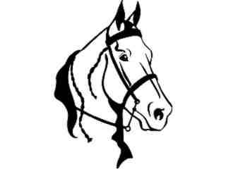  Horse Head Gaited_ 1 4 3_ V A 1 Decal Proportional
