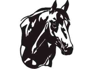  Horse Head Shadows_ C U 1 Decal Proportional