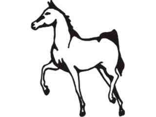  Horse Prancing_ C U 1 Decal Proportional
