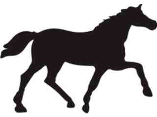  Horse Running Silh_ 1 2 6 Decal Proportional