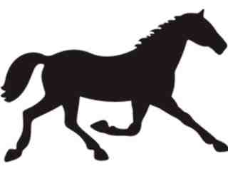  Horse Running Silh_ 1 2 8 Decal Proportional