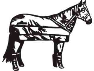  Horse Saddle Blanket_ C U 1 Decal Proportional