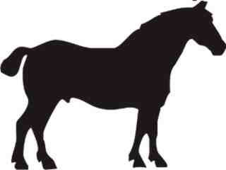  Horse Silhouette_ Stand 4 Decal Proportional