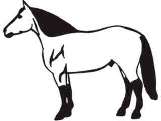  Horse Simple Stand_ C U 1 Decal Proportional