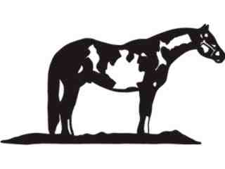  Horse Waiting_ C U 1 Decal Proportional