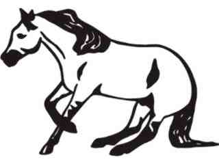  Horse Whoa_ C U 1 Decal Proportional