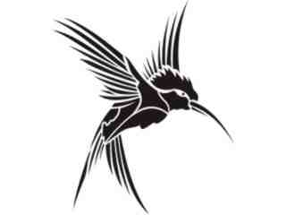  Hummingbird Tribal_ 1 9 4 Decal Proportional