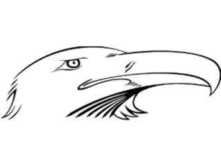  Indian Power_ Eagle Head_ 2 2 9_ V A 1 Decal Proportional