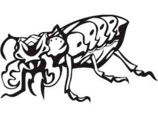  Insects Predatory_ 0 0 2 Decal Proportional