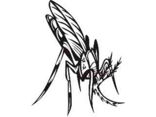  Insects Predatory_ 0 0 7 Decal Proportional