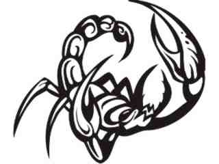  Insects Predatory_ 0 0 8 Decal Proportional