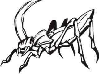 Insects Predatory_ 0 2 7 Decal Proportional