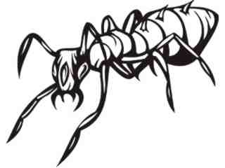  Insects Predatory_ 0 4 1 Decal Proportional