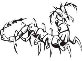  Insects Predatory_ 0 5 9 Decal Proportional