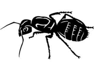  Insects_ Ant_ 1 4 4_ V A 1 Decal Proportional