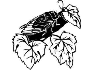  Insects_ Cicada_ 1 4 4_ V A 1 Decal Proportional