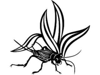  Insects_ Cricket_ 1 4 4_ V A 1 Decal Proportional