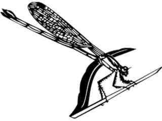  Insects_ Damsel Fly_ 1 4 4_ V A 1 Decal Proportional