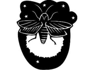  Insects_ Fire Fly_ 1 4 4_ V A 1 Decal Proportional