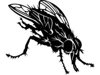  Insects_ Fly_ 1 4 4_ V A 1 Decal Proportional