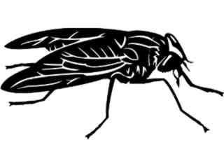  Insects_ Horse Fly_ 1 4 4_ V A 1 Decal Proportional