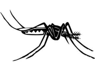  Insects_ Mosquito_ 1 4 4_ V A 1 Decal Proportional