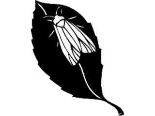  Insects_ Moth_ 1 4 4_ V A 1 Decal Proportional