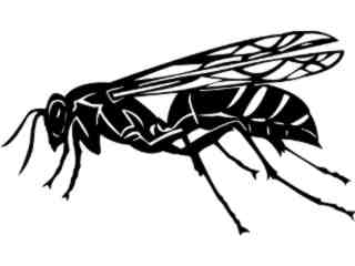  Insects_ Wasp_ 1 4 4_ V A 1 Decal Proportional