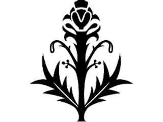 Iris Icon_ 1 5 4_ V A 1 Decal Proportional