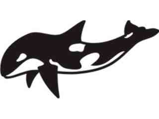  Killer Whale_ 2 7 1 Decal Proportional