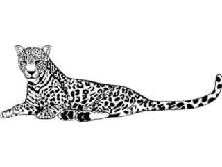  Leopard_ 1 4 5_ V A 1 Decal Proportional