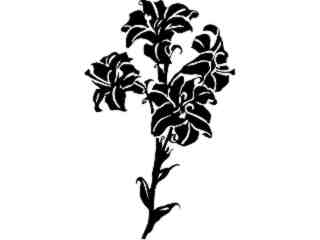  Lilies_ 1 5 4_ V A 1 Decal Proportional