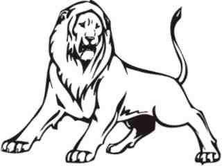  Lion Animal Wild_ 0 0 2a Decal Proportional