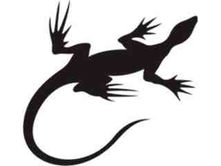  Lizards_ 0 3 2a Decal Proportional