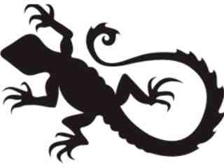  Lizards_ 0 3 6a Decal Proportional