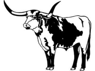  Longhorn Bull_ 1 3 4_ V A 1 Decal Proportional