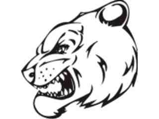  Mascots_ Bear_ 0 1 3_ X C C Decal Proportional