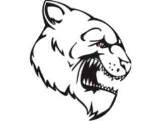  Mascots_ Bear_ 0 1 4_ X C C Decal Proportional