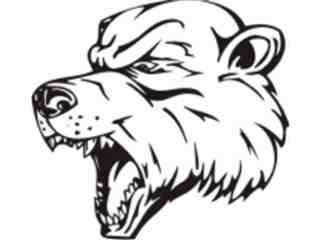  Mascots_ Bear_ 0 1 6_ X C C Decal Proportional