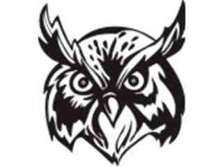  Mascots_ Owl_ 0 3 0_ X C C Decal Proportional