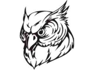  Mascots_ Owl_ 0 3 1_ X C C Decal Proportional