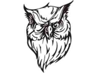  Mascots_ Owl_ 0 3 3_ X C C Decal Proportional