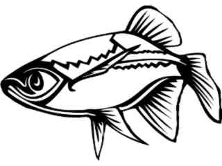  Minnow Fish_ 1 4 1_ V A 1 Decal Proportional