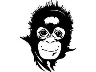  Monkey Baby Decal Proportional