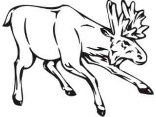  Moose Animal Wild_ 0 2 9a Decal Proportional