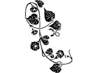  Morning Glory_ 1 5 4_ V A 1 Decal Proportional