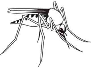  Mosquito_ 0 8 2 Decal Proportional