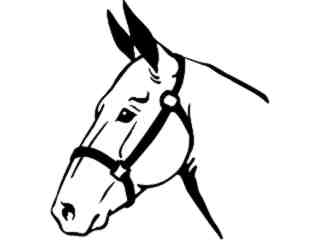  Mule Donkey Head_ 1 4 3_ V A 1 Decal Proportional