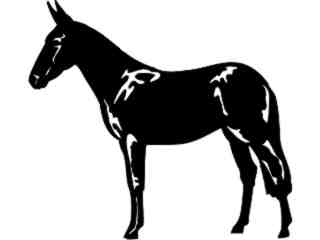  Mule Donkey_ 1 4 3_ V A 1 Decal Proportional